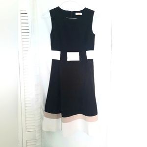 Calvin Klein Colorblock Fit & Flare Sheath Sleeveless Dress Full Lining Size 2